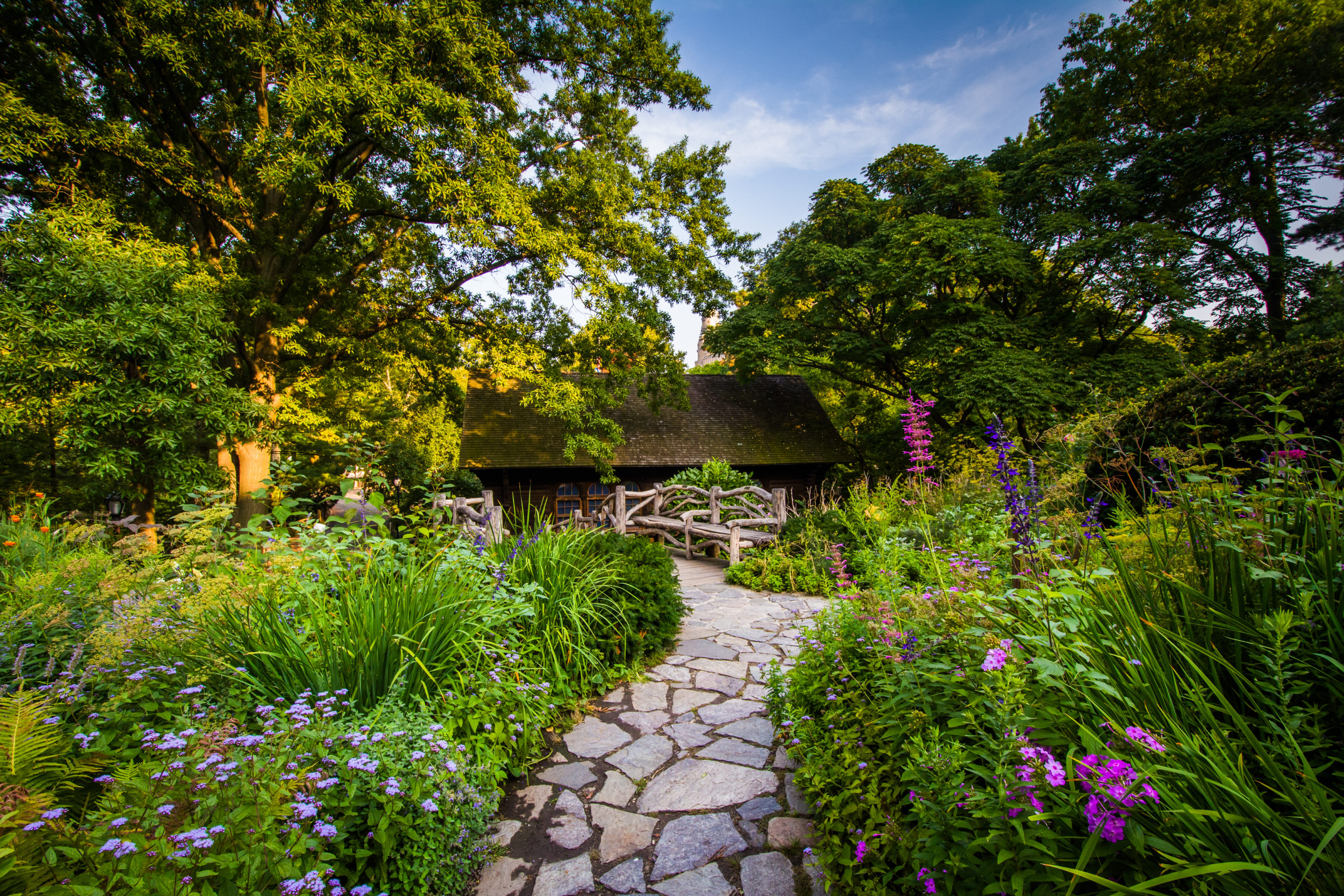 Shakespeare Garden Central Park
