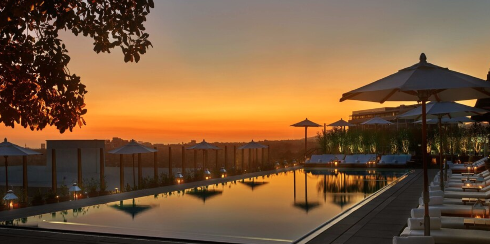 The West Hollywood EDITION Pool View The West Hollywood EDITION Pool View