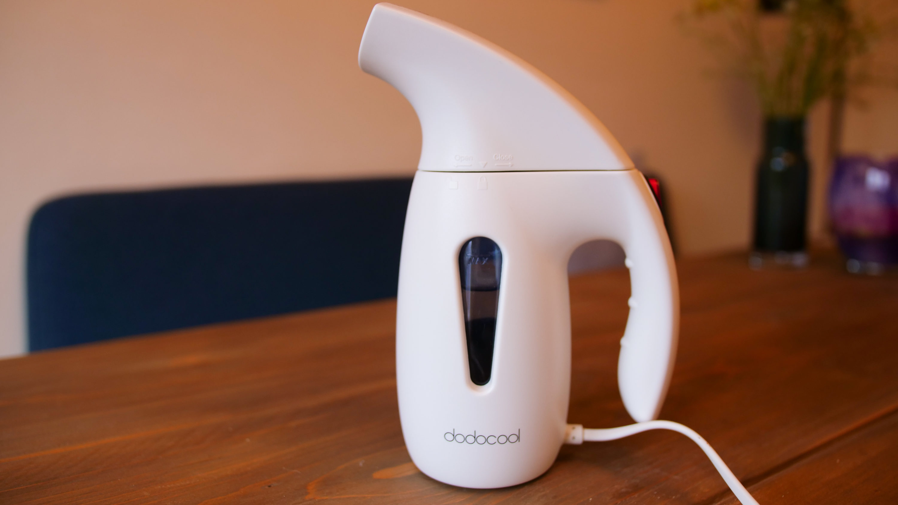 Travel steamer