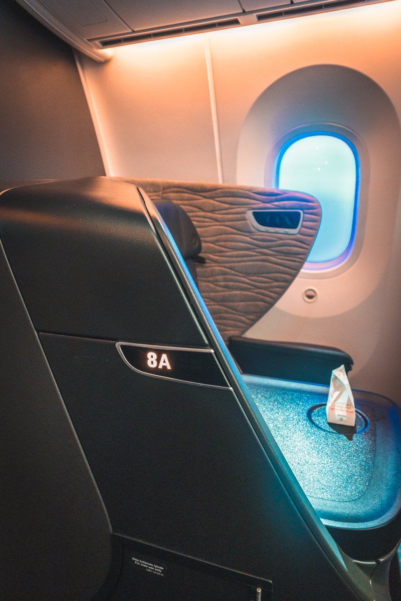 Turkish Airlines Boeing 787 9 Business Class Window Seat Shell Obstruction