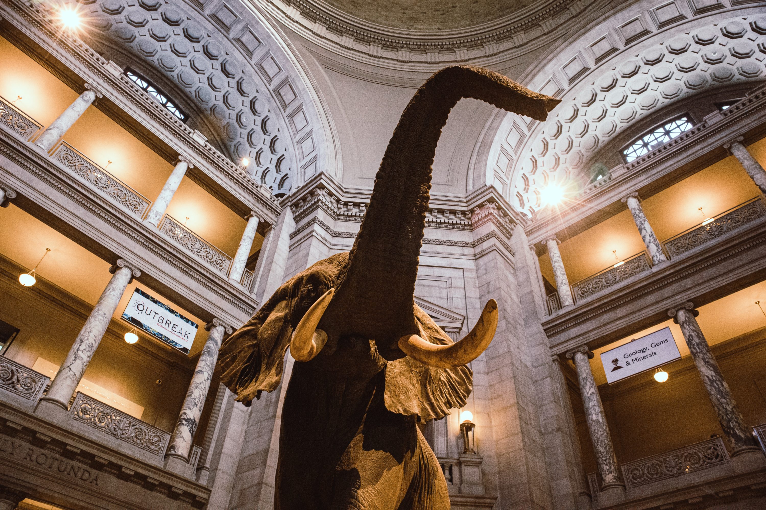 Smithsonian Natural History Museum Smithsonian Natural History