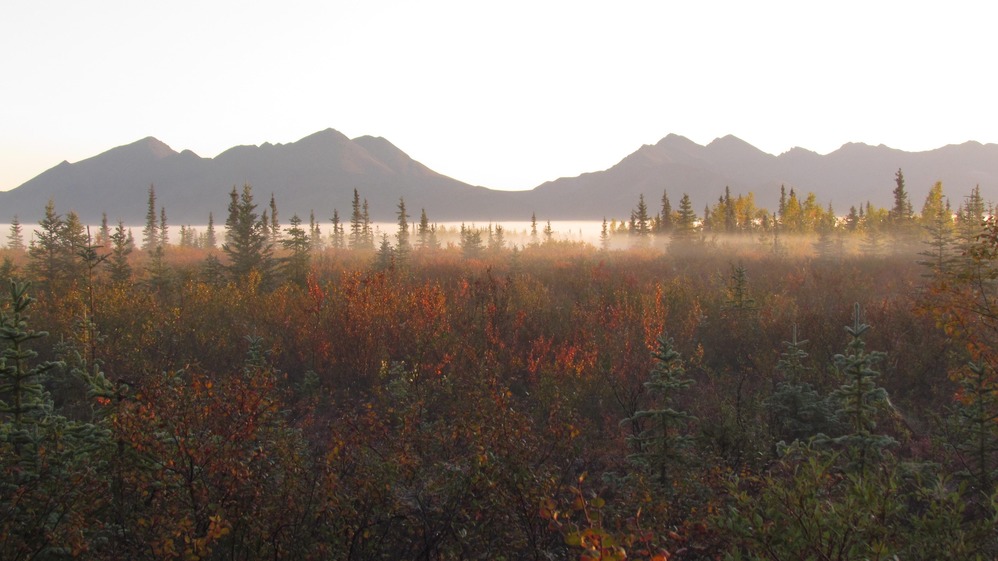 Autumn Morning Mist at Kobuk Valley National Park