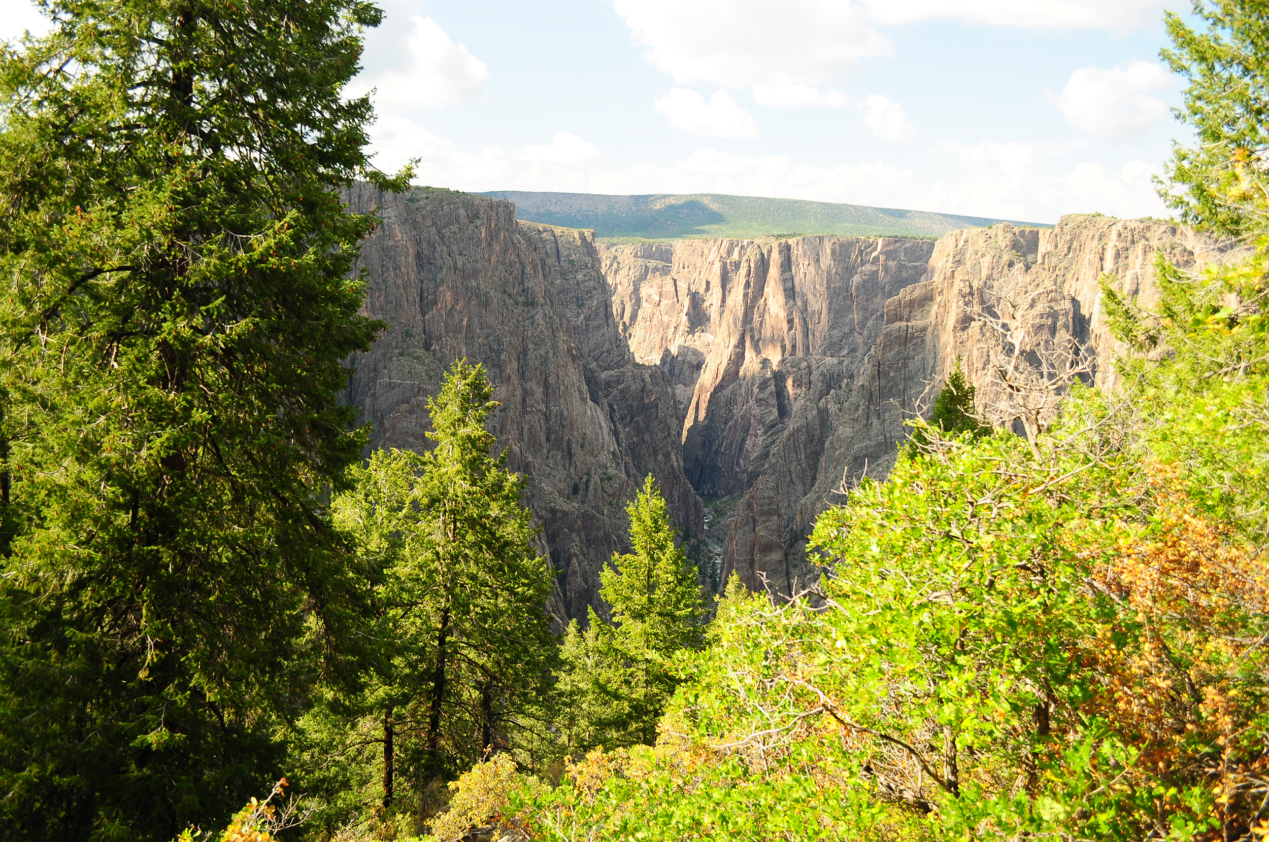 Canyon from Oak Flat Trail at Black Canyon of the Gunnison National Park