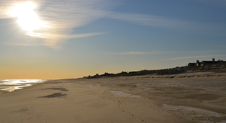 Coopers Beach