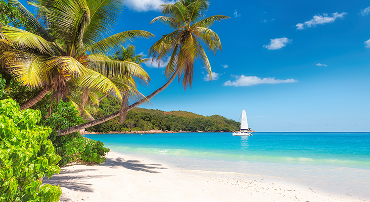 Jamaica Vacation