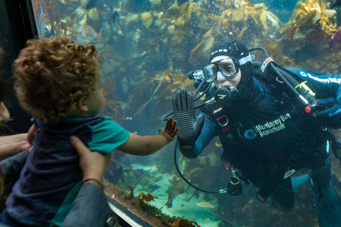 Monterey Bay Aquarium