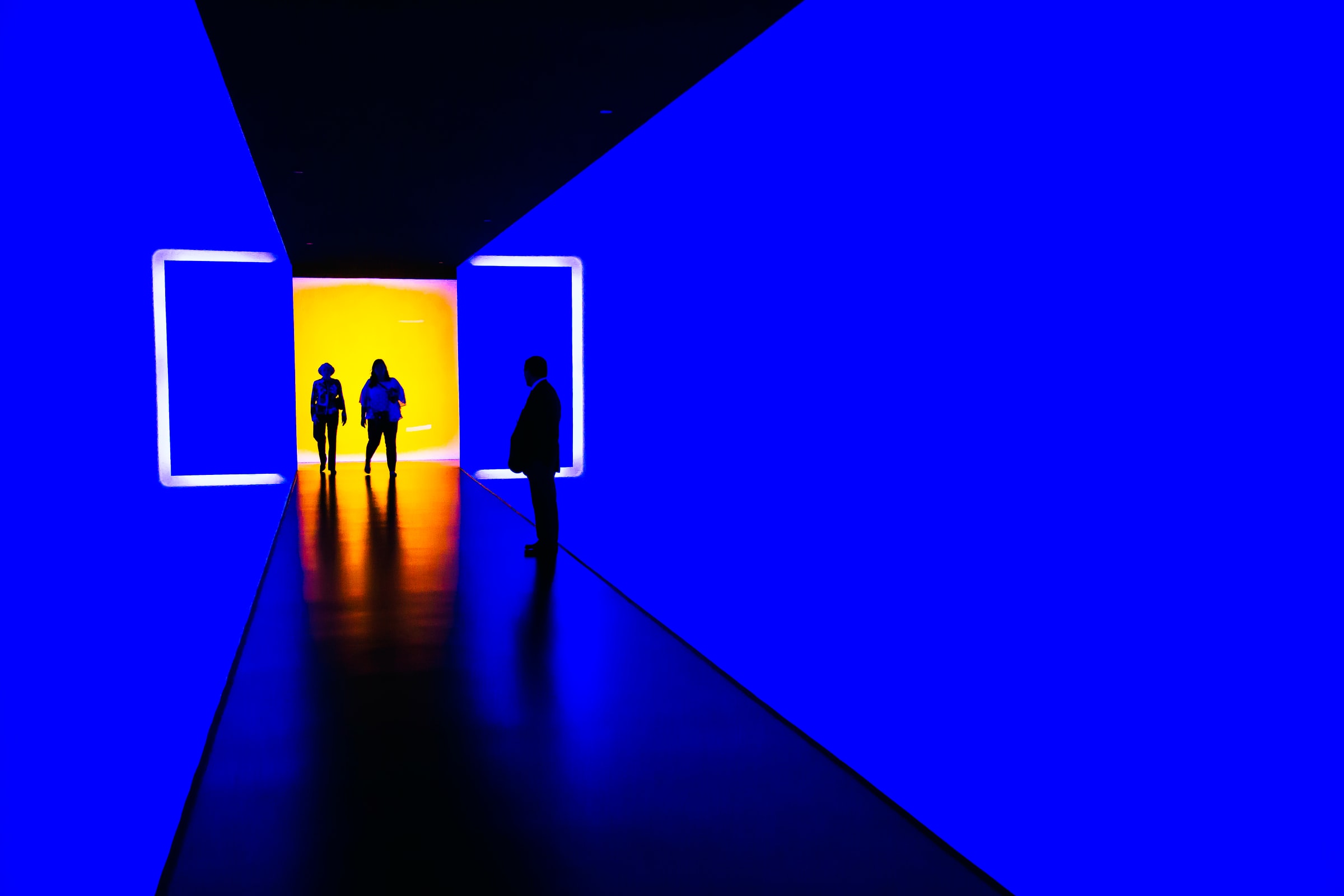 Museum of Fine Art Houston