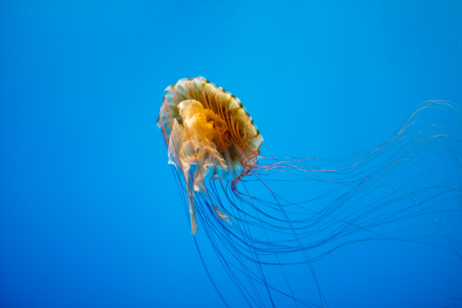 National Aquarium Baltimore