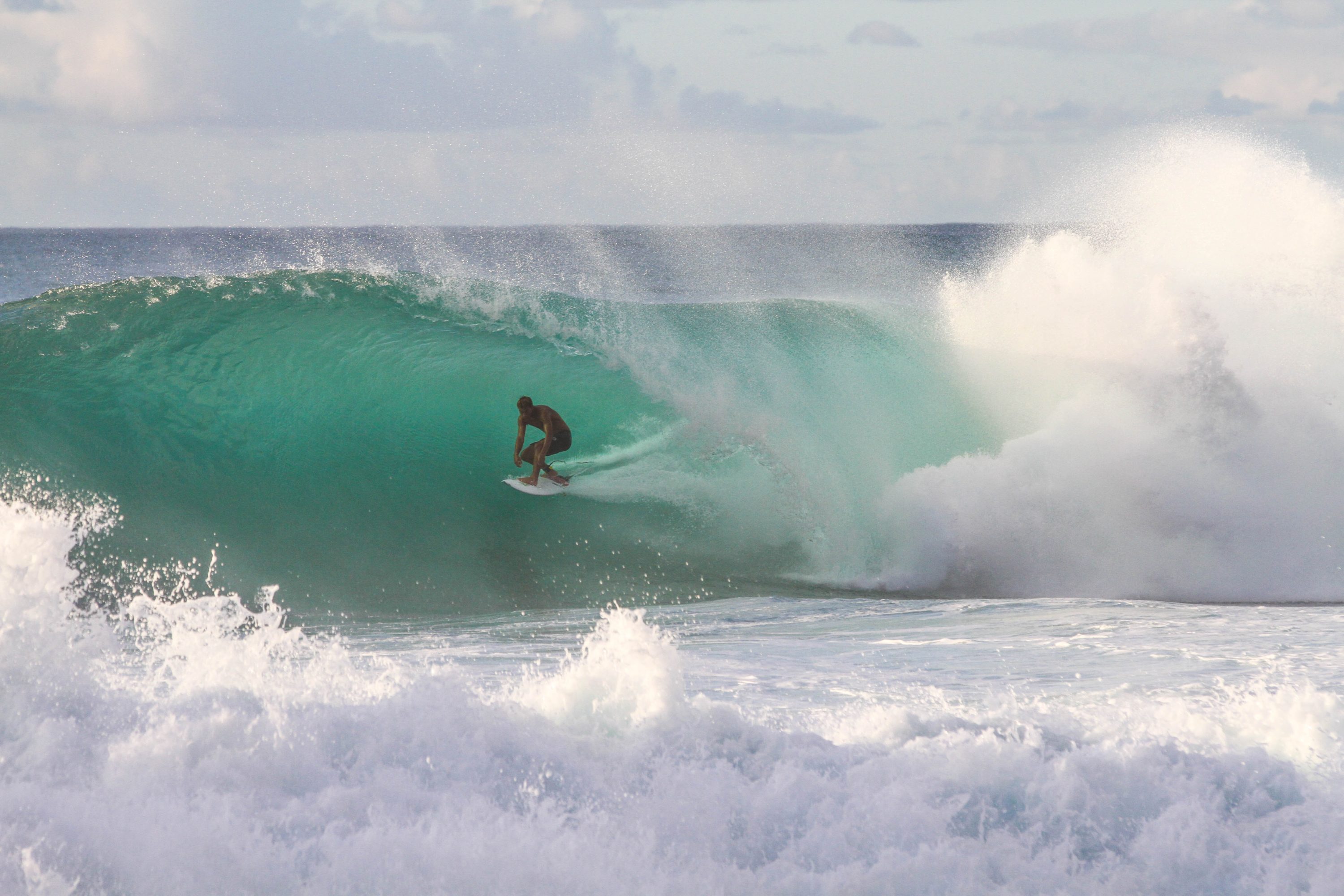 North Shore Surfer