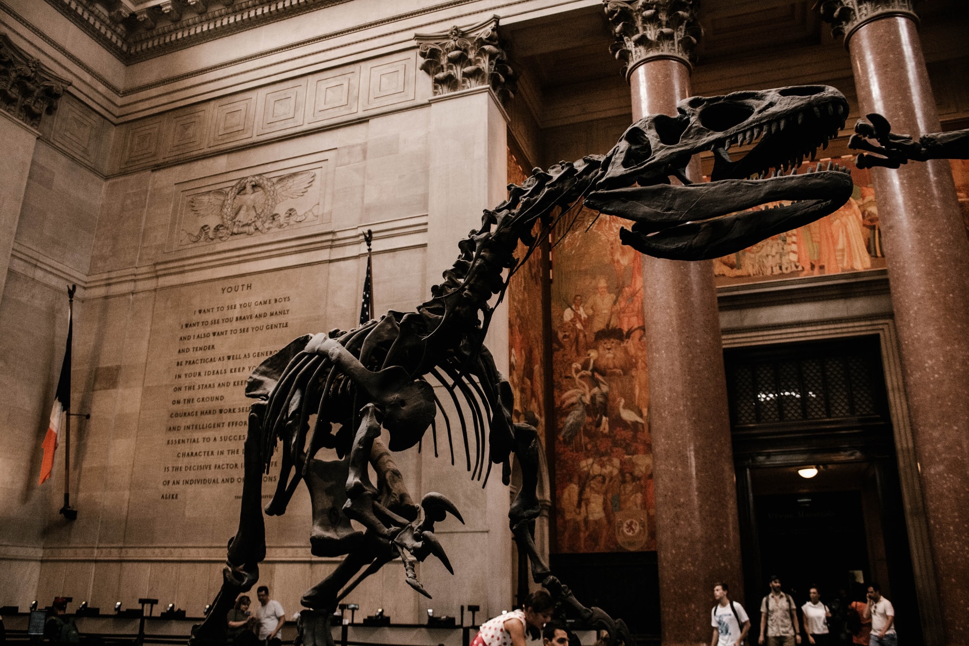 OLogy American Museum of Natural History