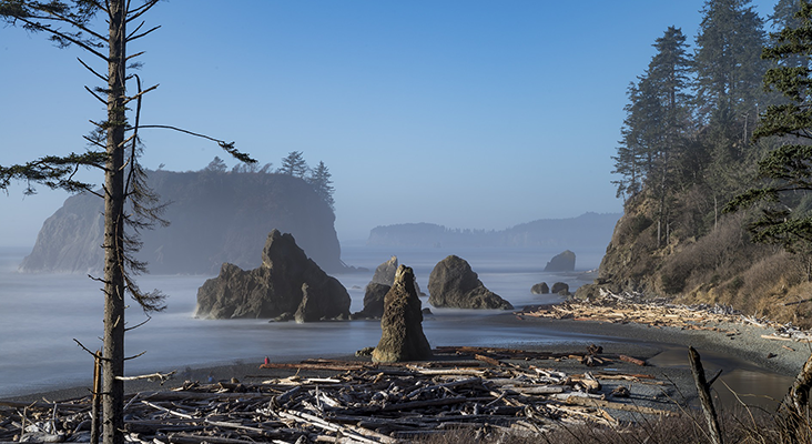 Olympic Peninsula Loop