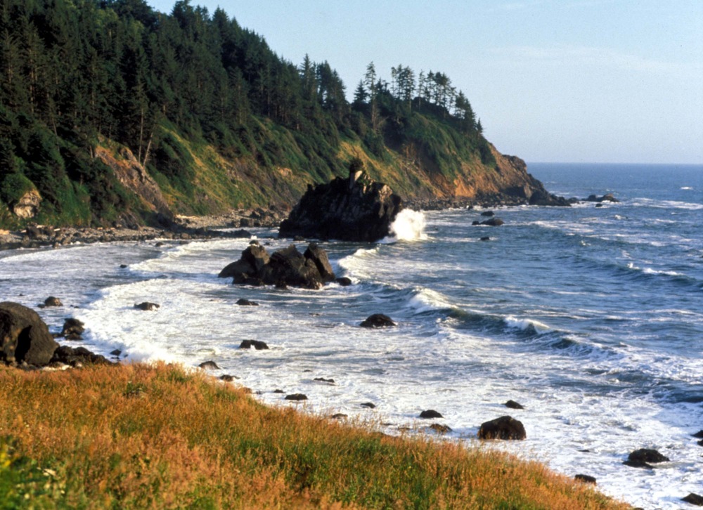 Redwood National Park