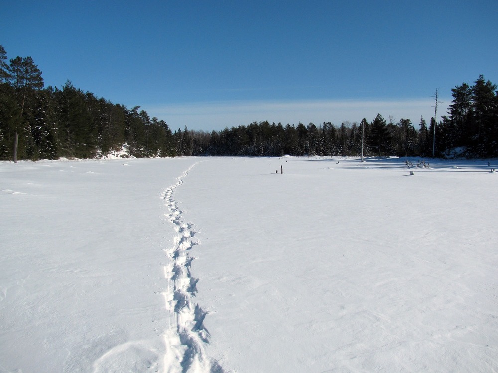 Voyageurs National Park