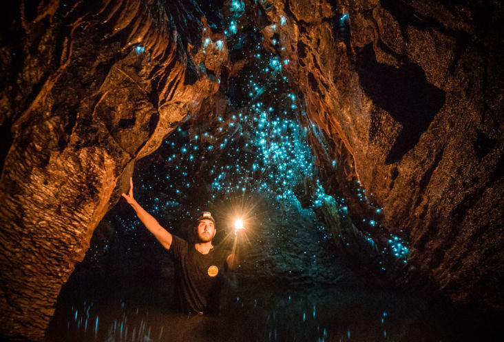Waitomo Cave New Zealand Waitomo Cave New Zealand