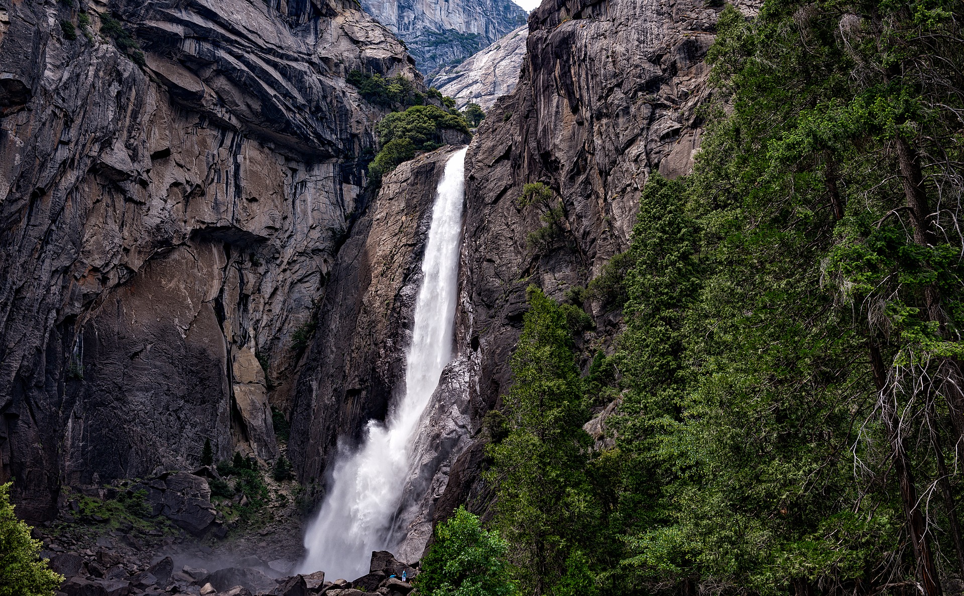 Yosemite National Park 1