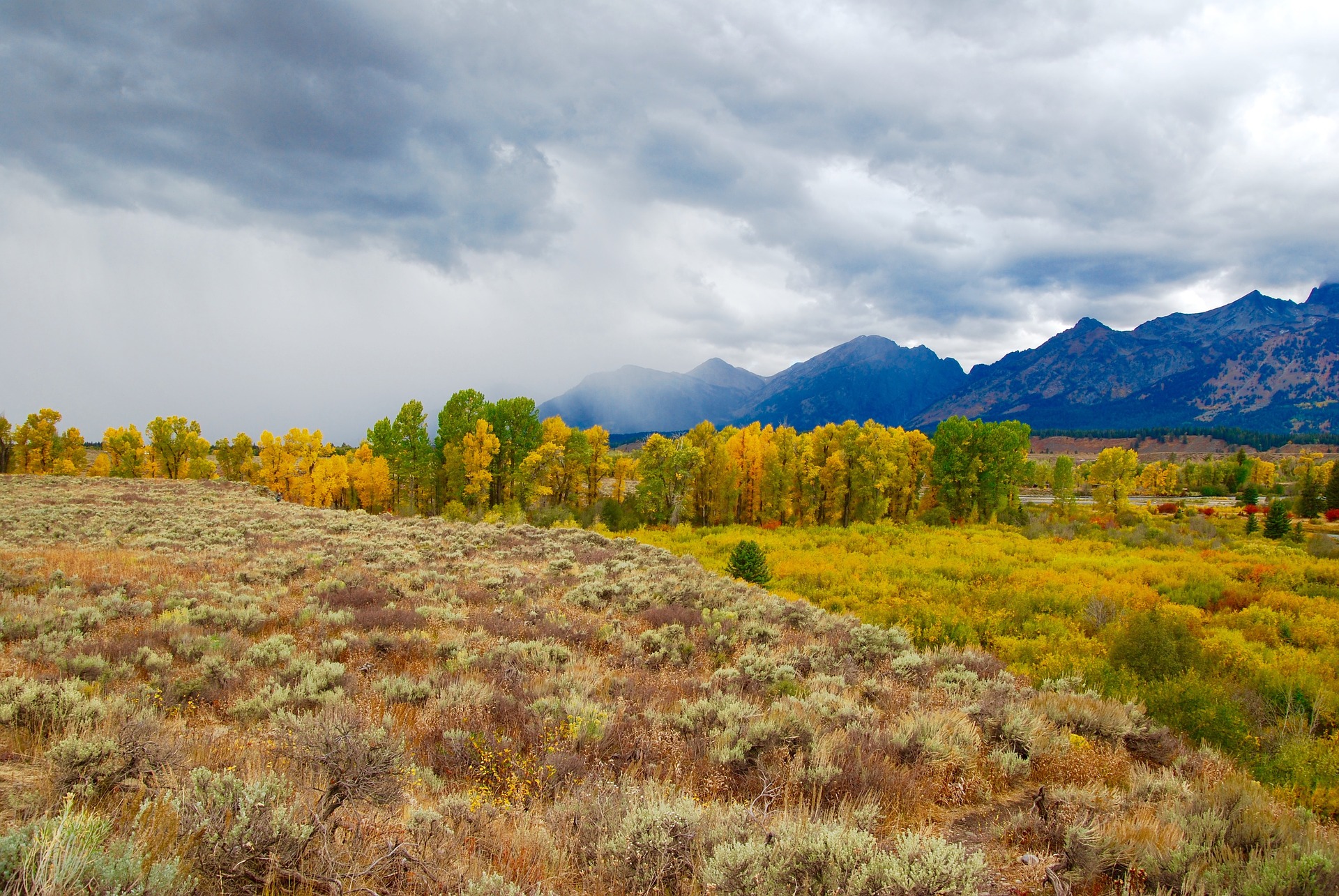 Fall Colors in Yellowstone