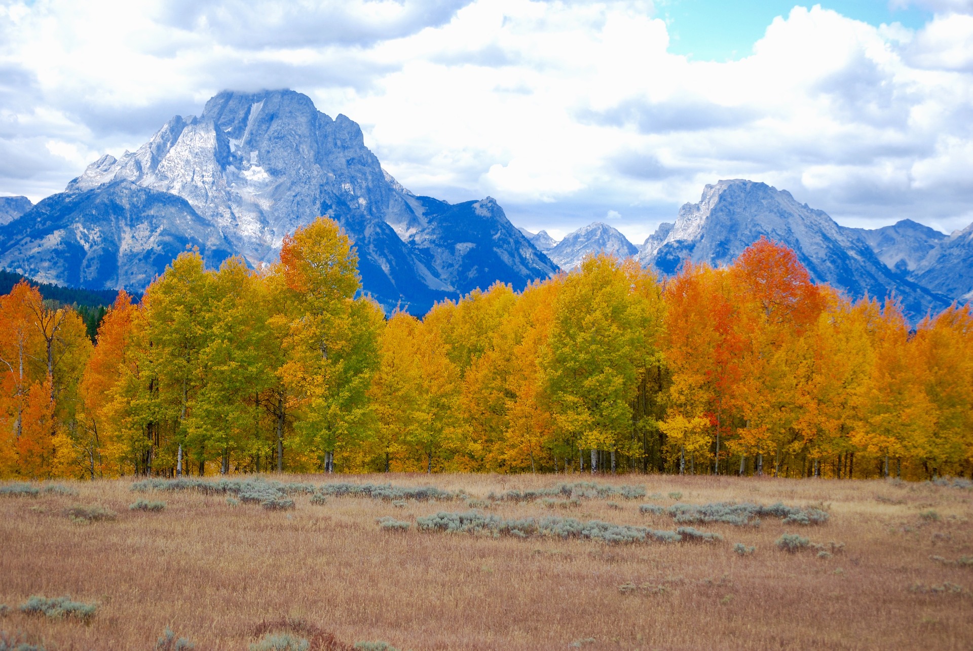 Fall Foliage in Yellowstone