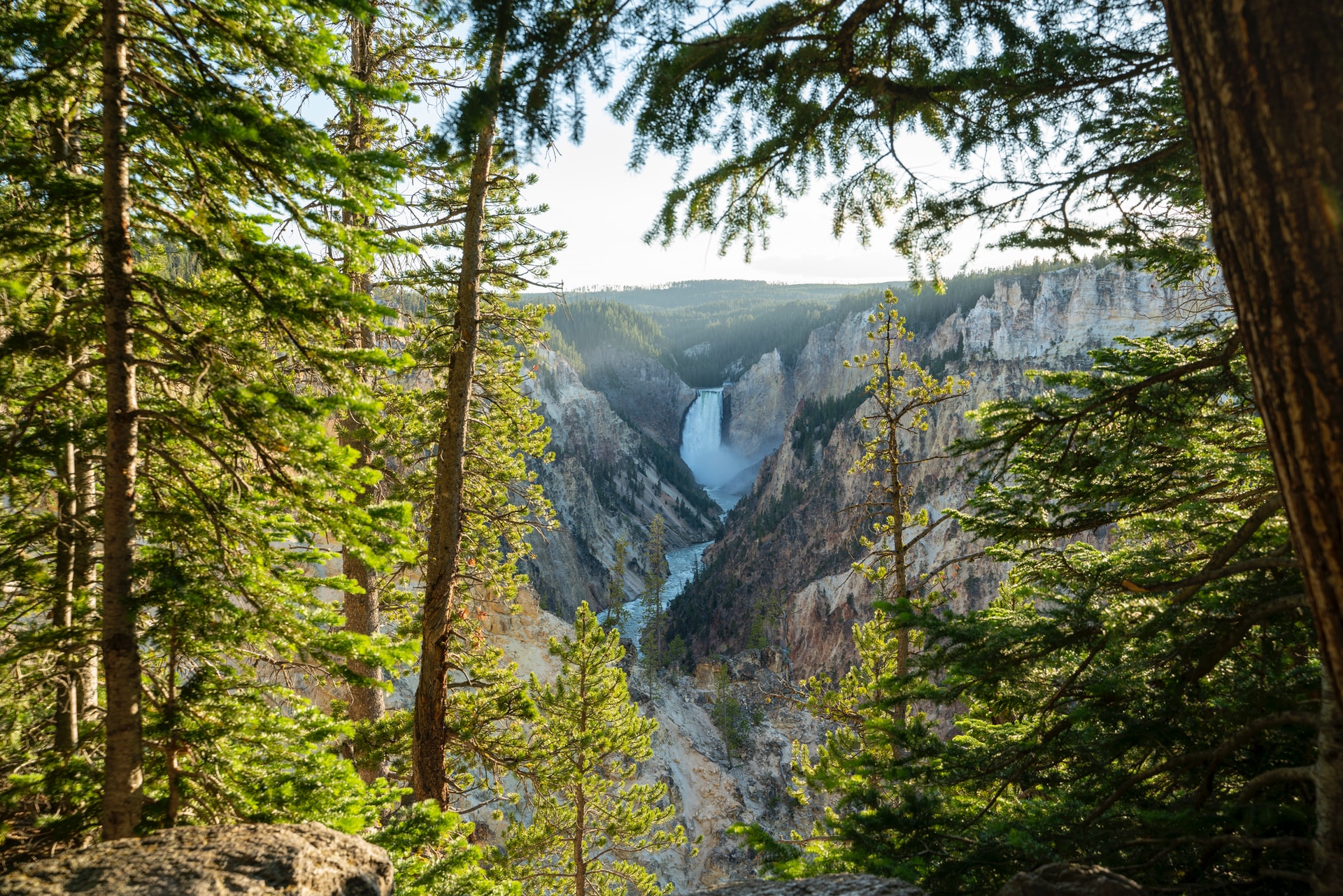 Lower Yellowstone Falls