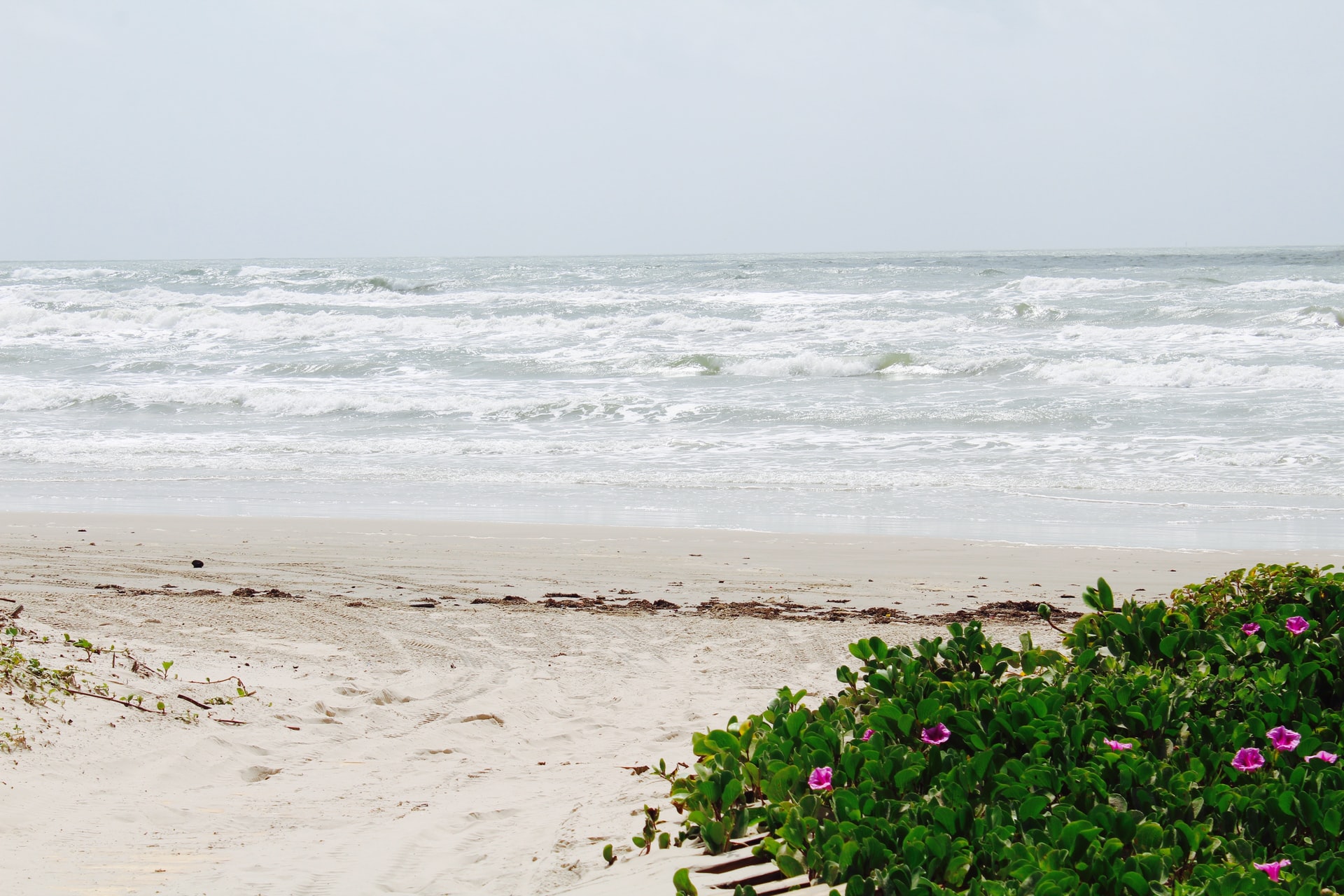 Mustang Island State Park