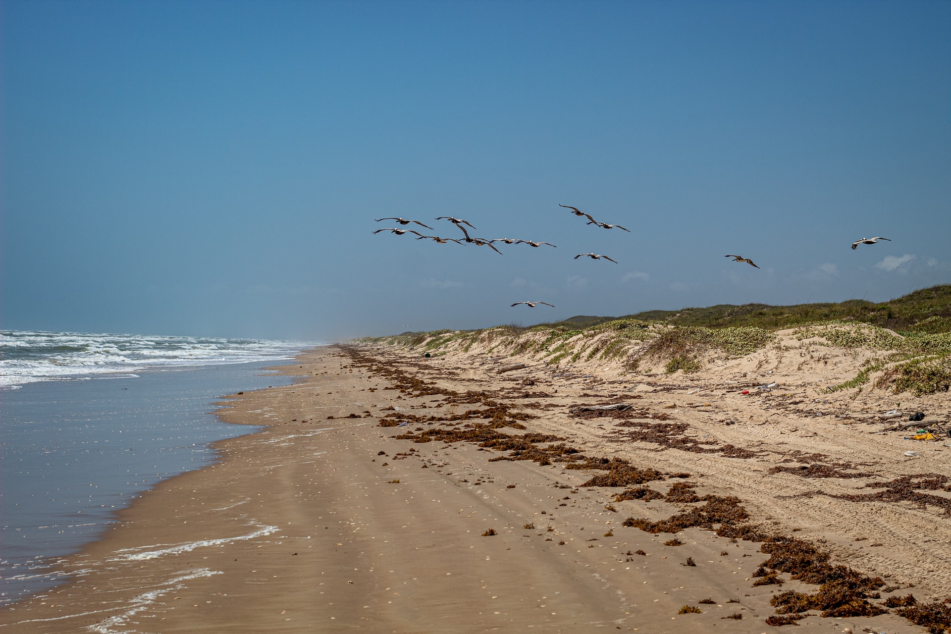 Padre Island National Seashore
