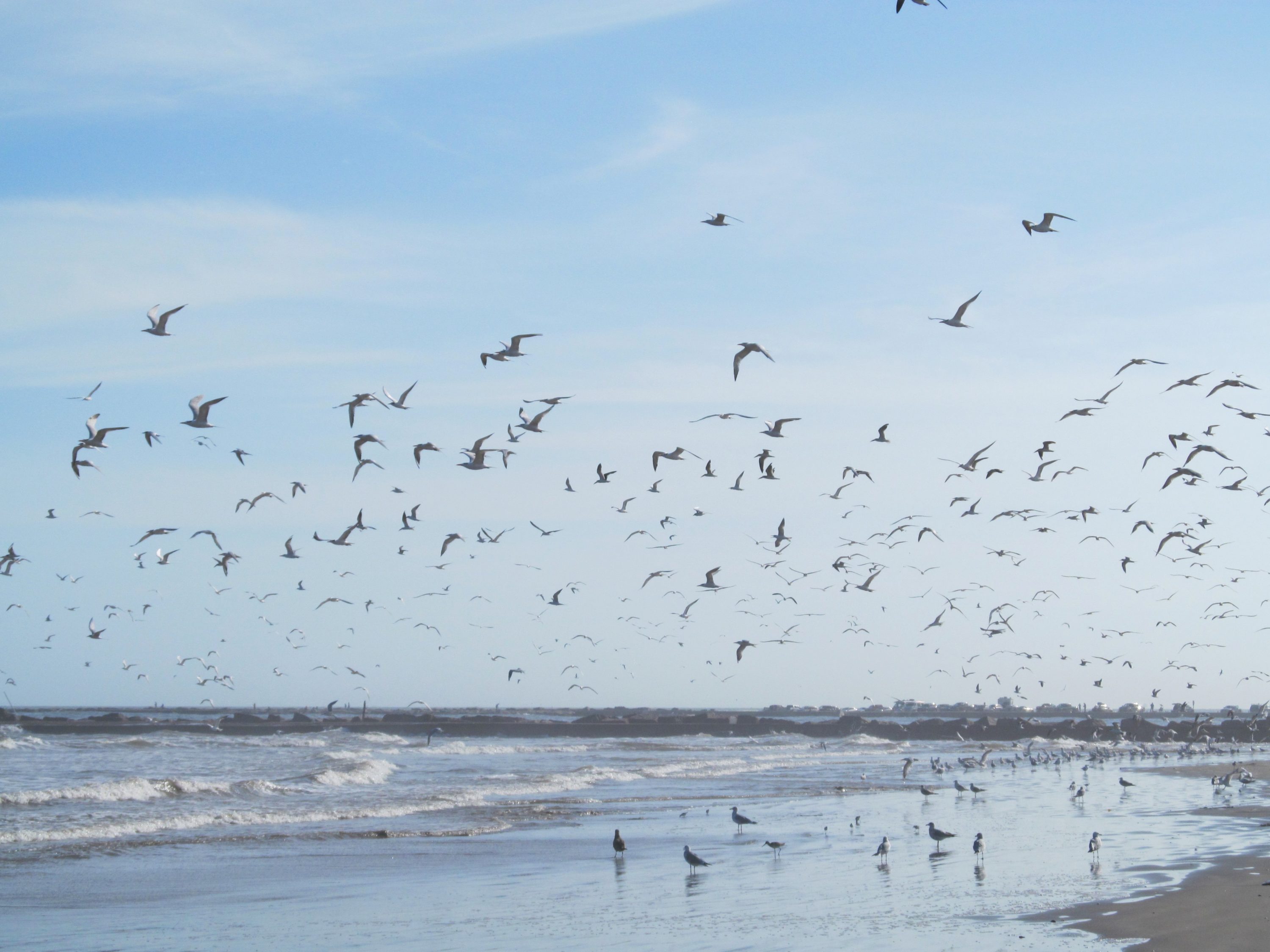 San Jose Island
