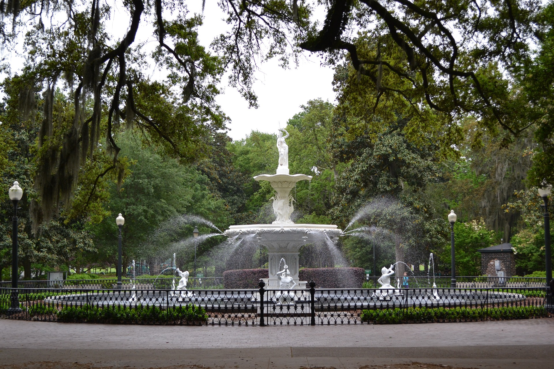 Savannah