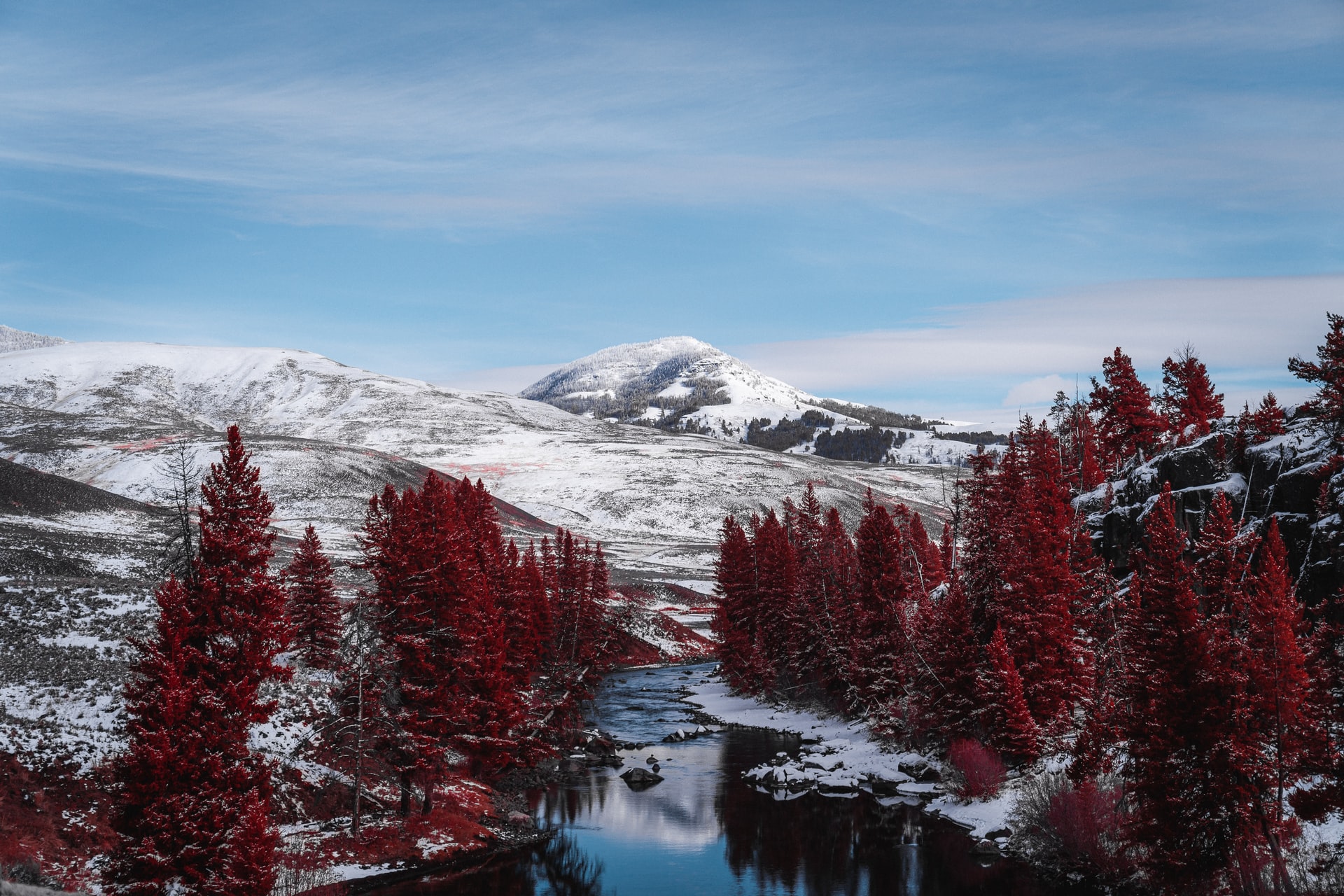 Winter in Yellowstone National Park