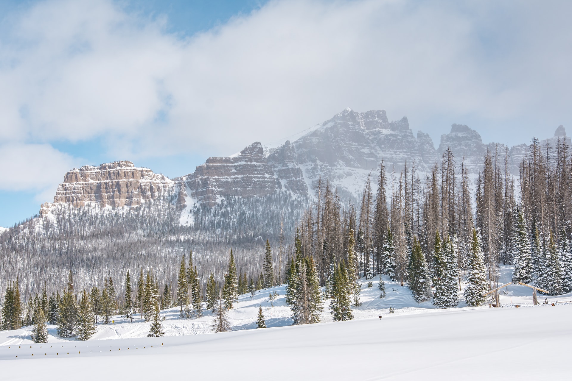 Winter in Yellowstone
