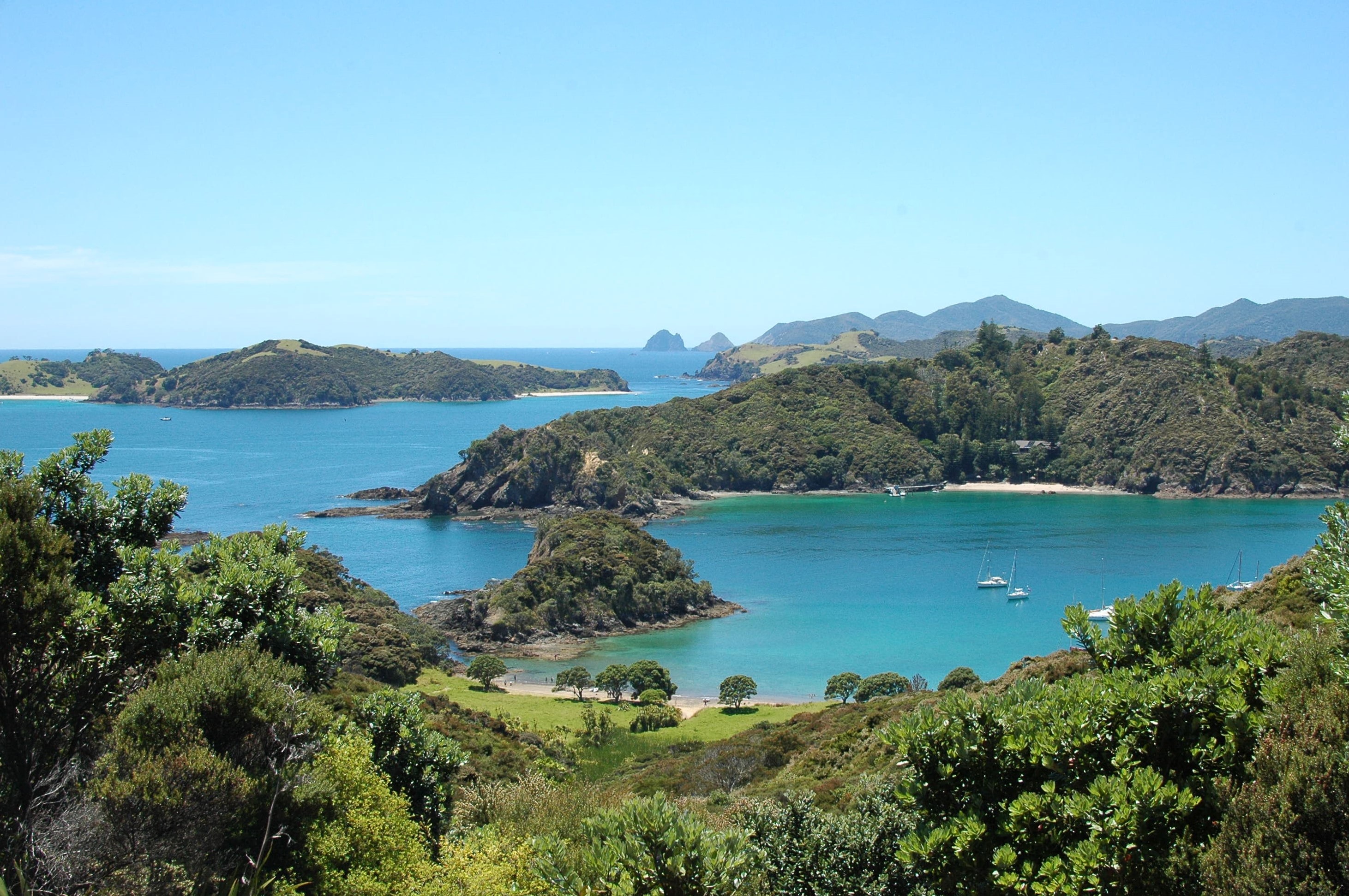 Contiki New Zealand Tour