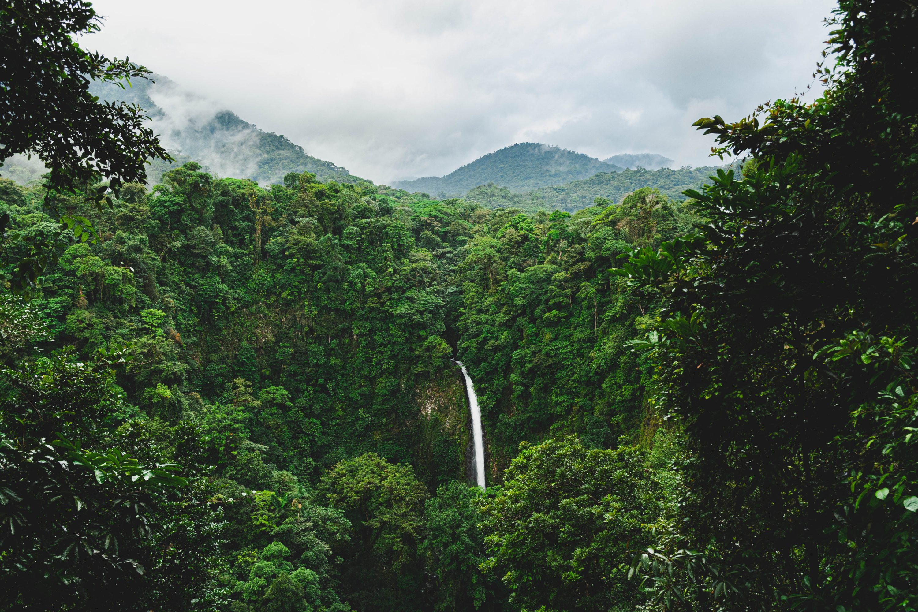 Costa Rica Tour