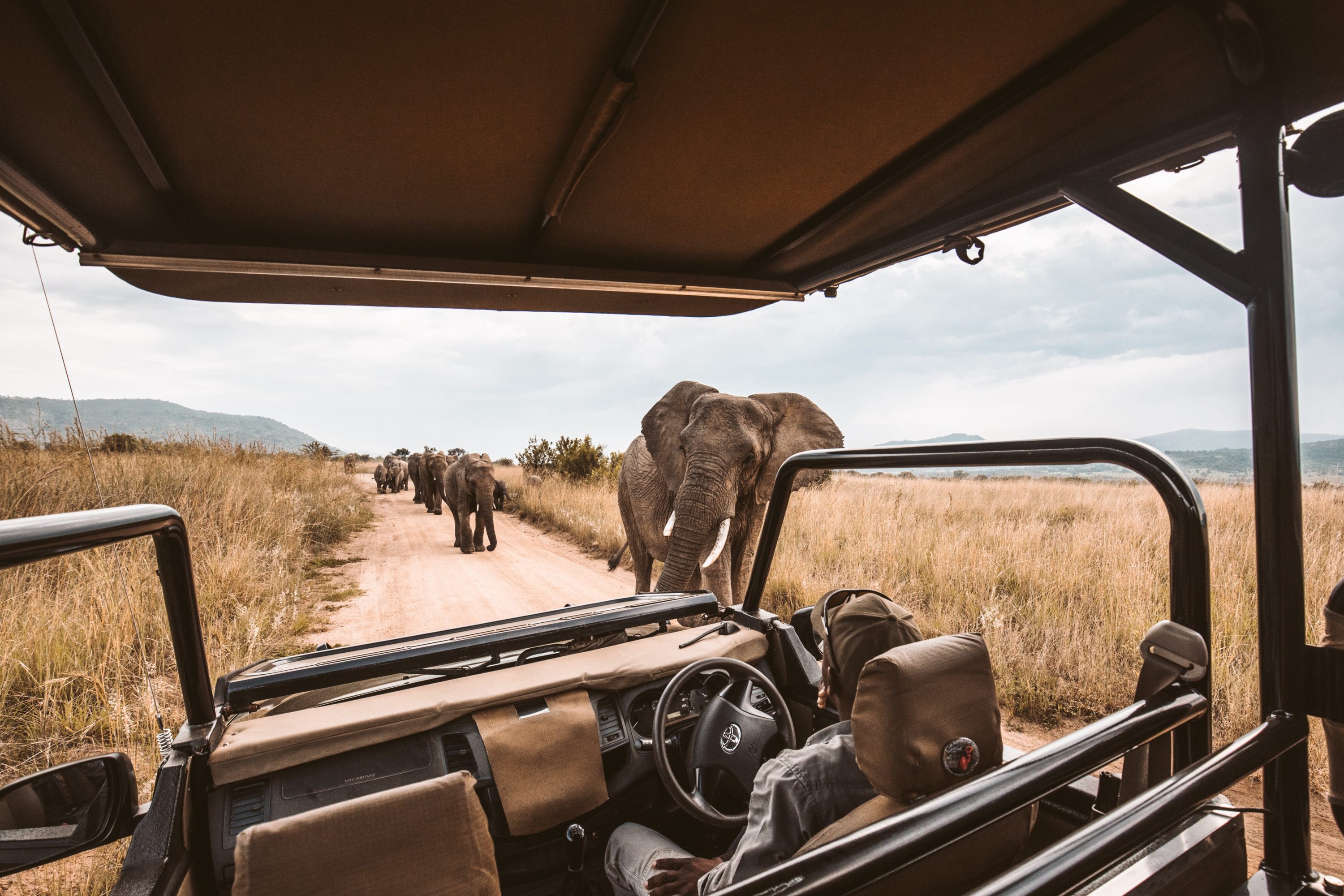 National Geographic Journeys