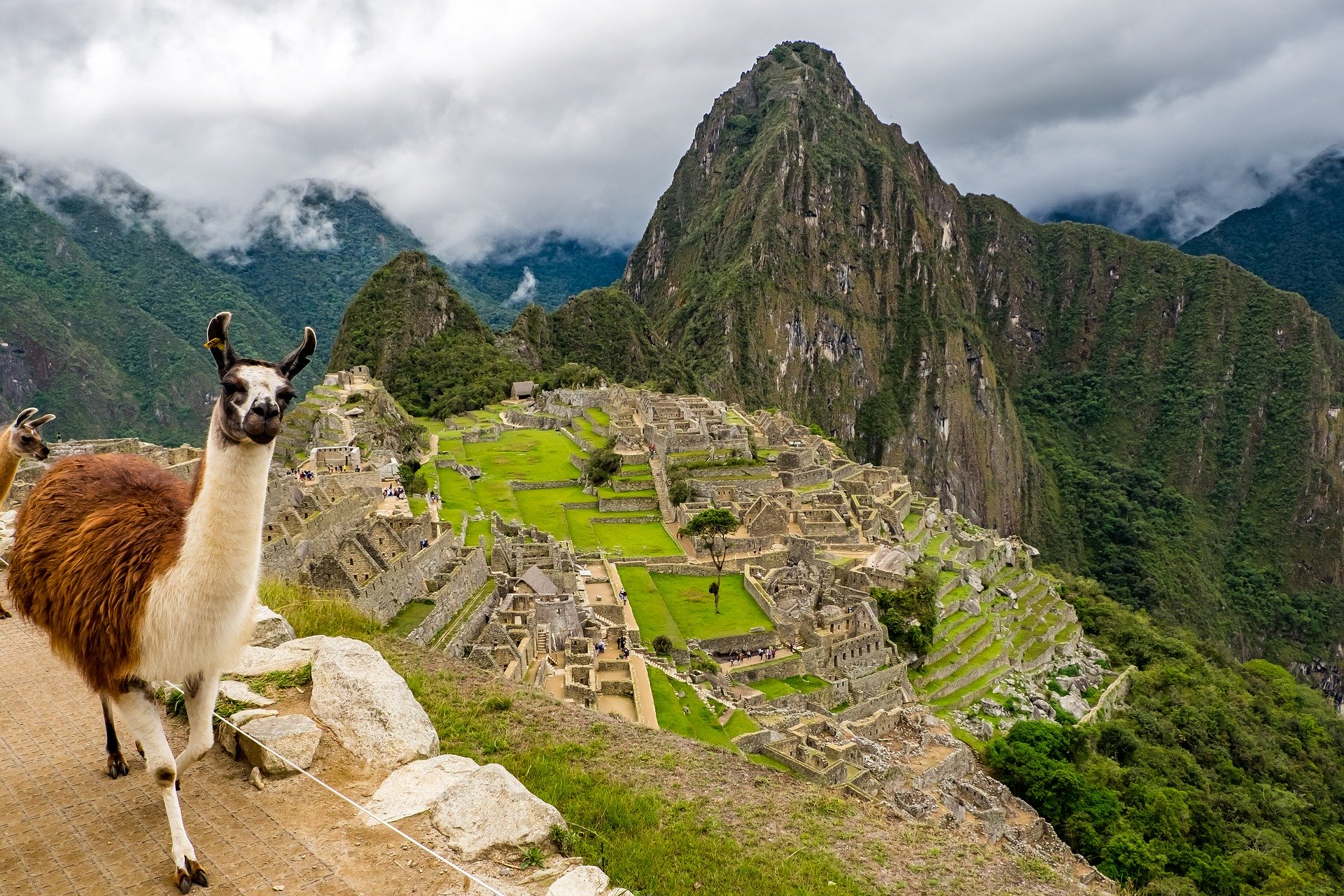 Peru Tour