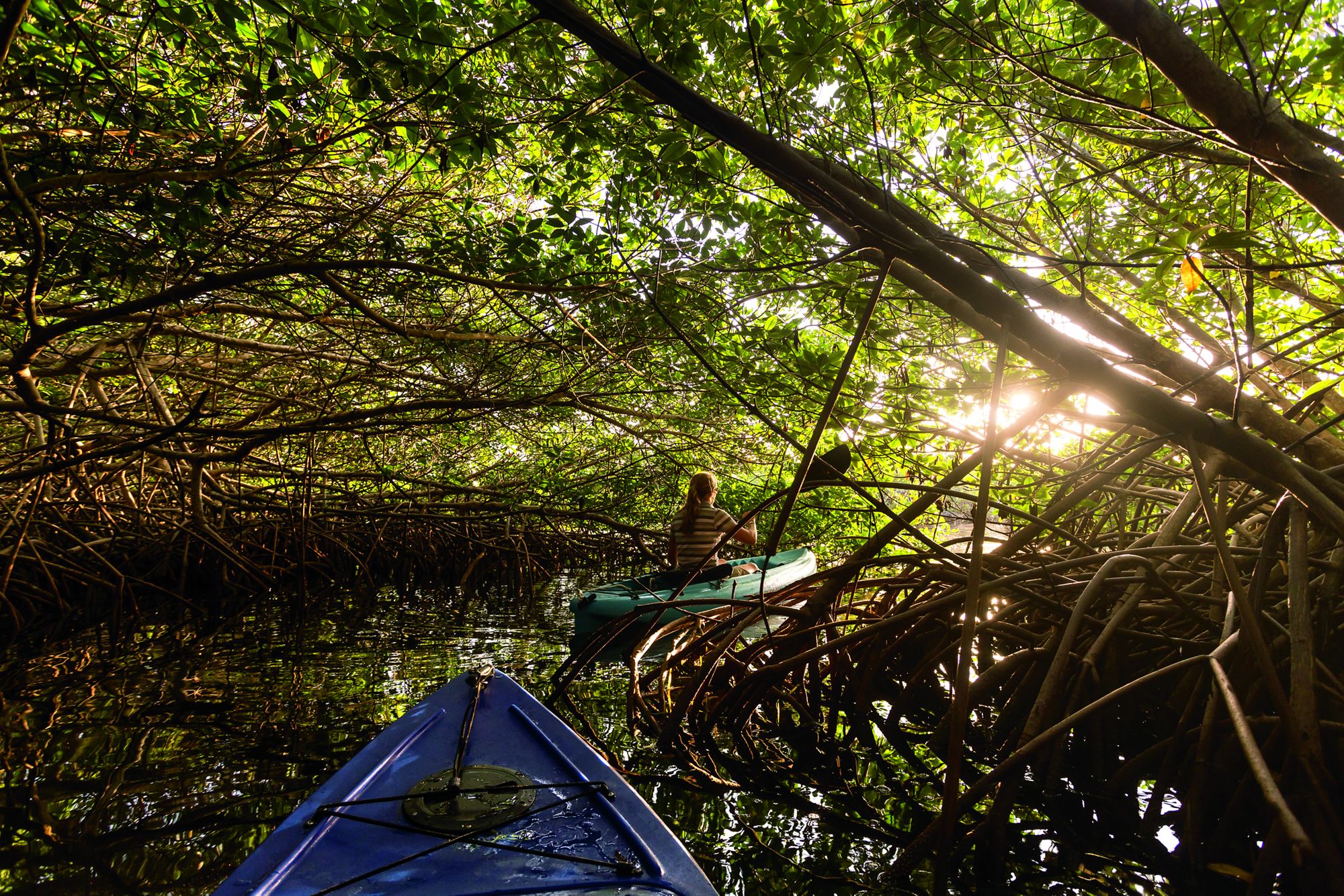 Ritz Carlton Grand Cayman Ambassadors of the Environment