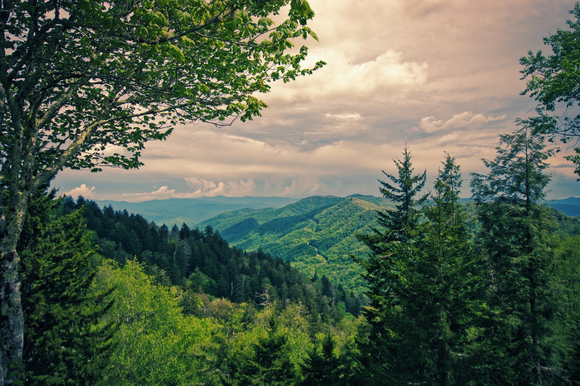 Great Smoky Mountain National Park