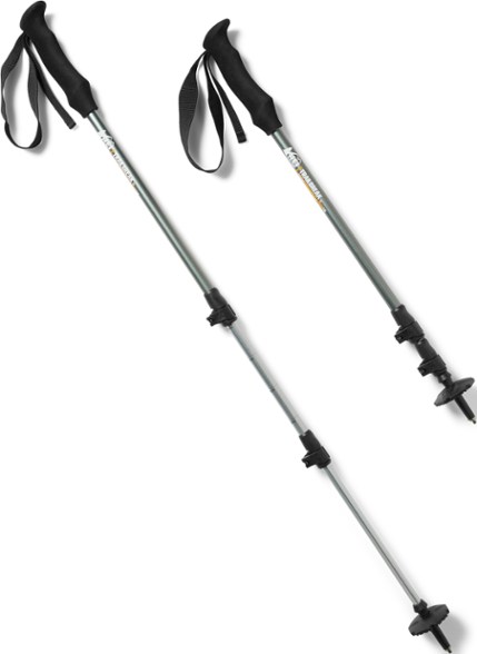 REI Co op Trailbreak Trekking Poles
