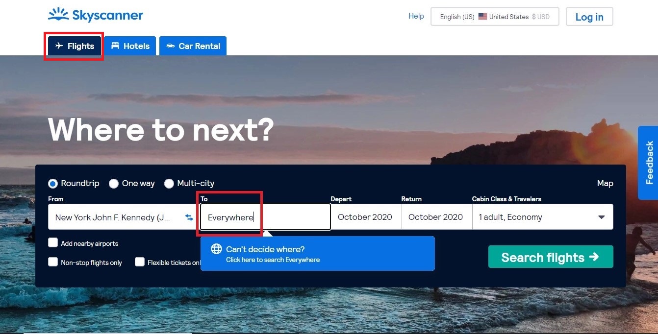 Skyscanner flight home