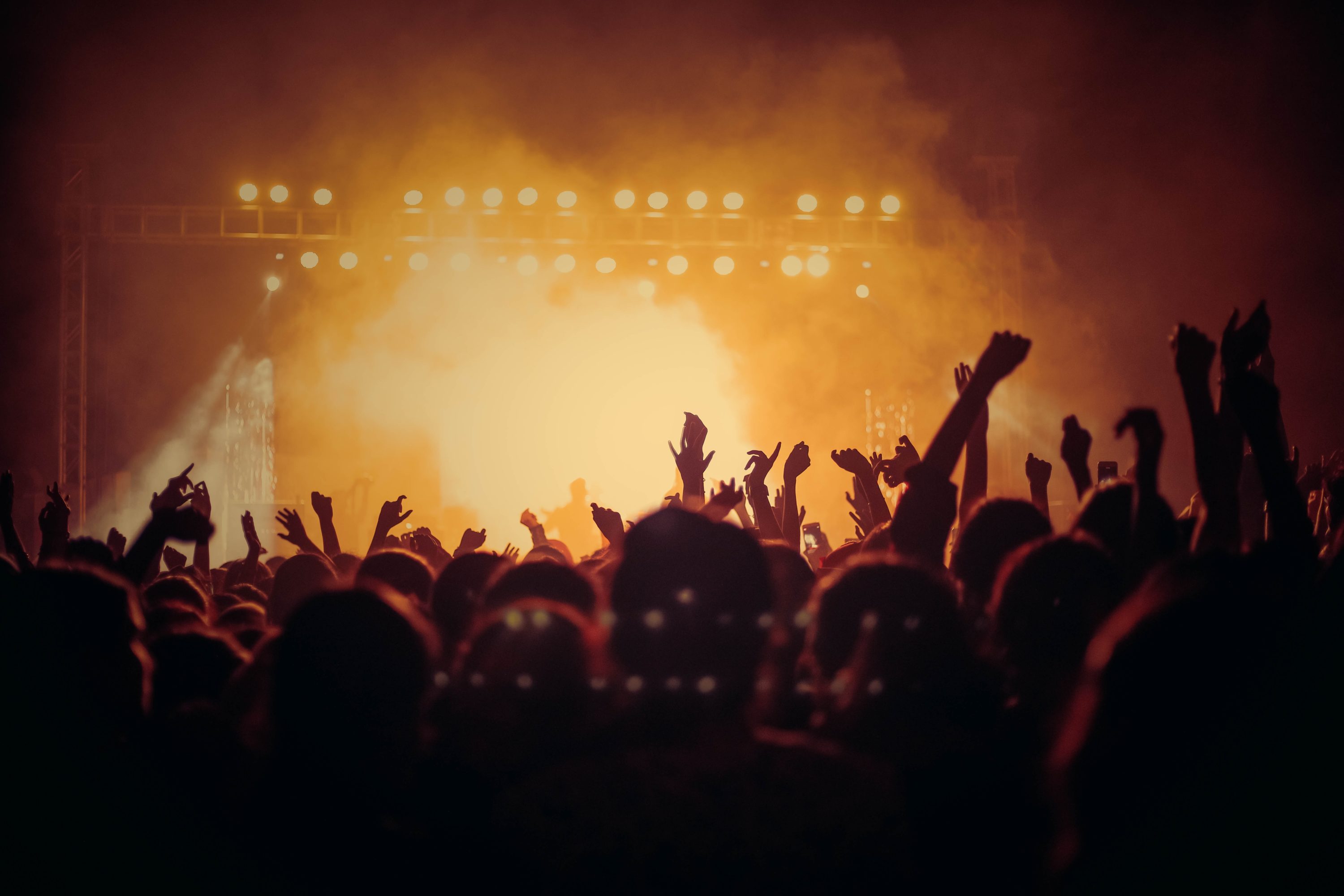 concert entertainment purchases concert entertainment purchases