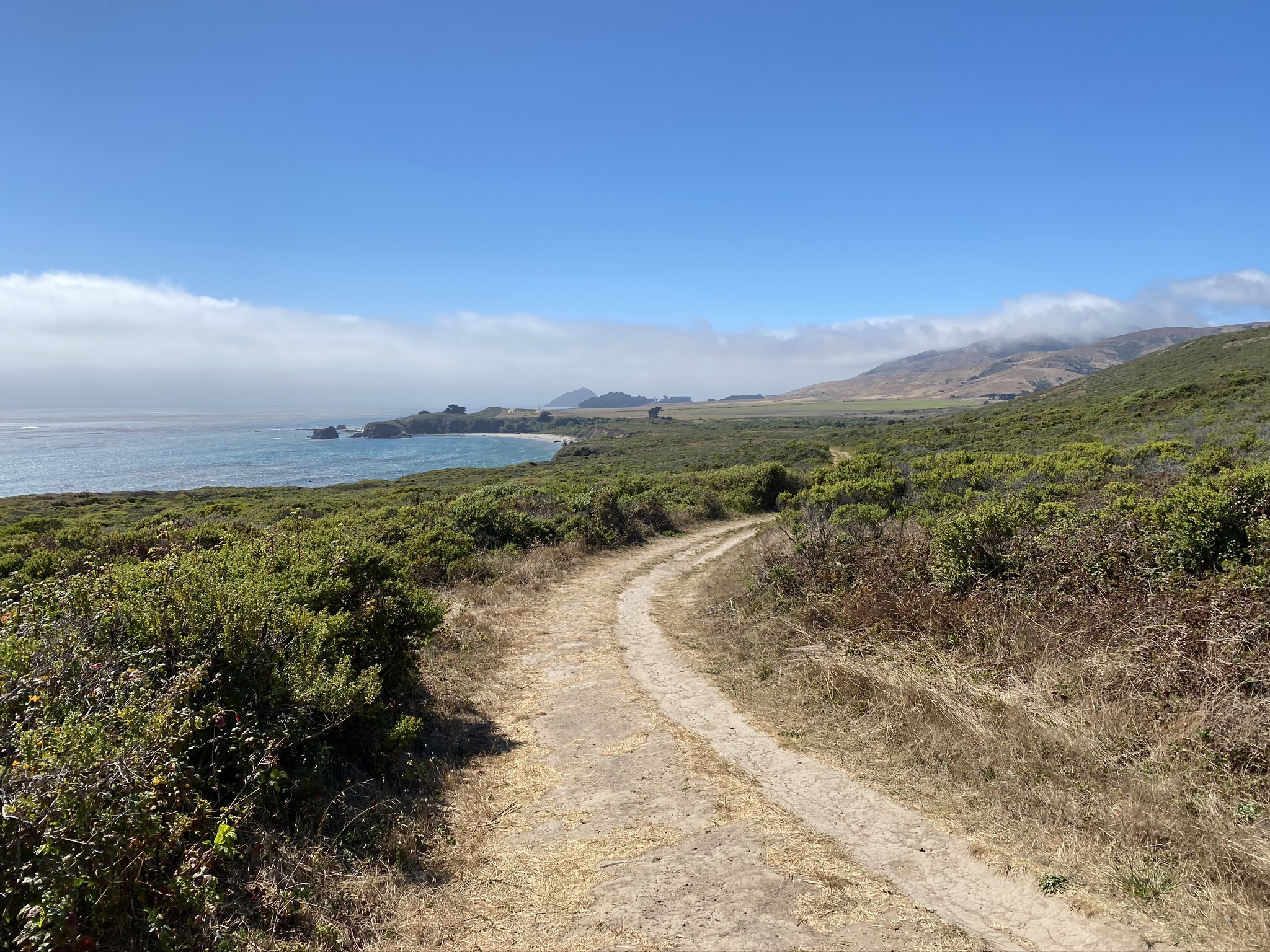 Andrew Molera State Park Bluffs Trail