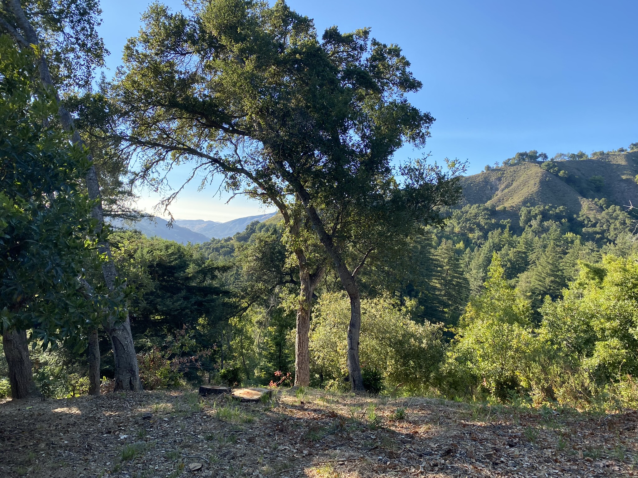 Ventana Big Sur an Alila Resort Coast Road Trail