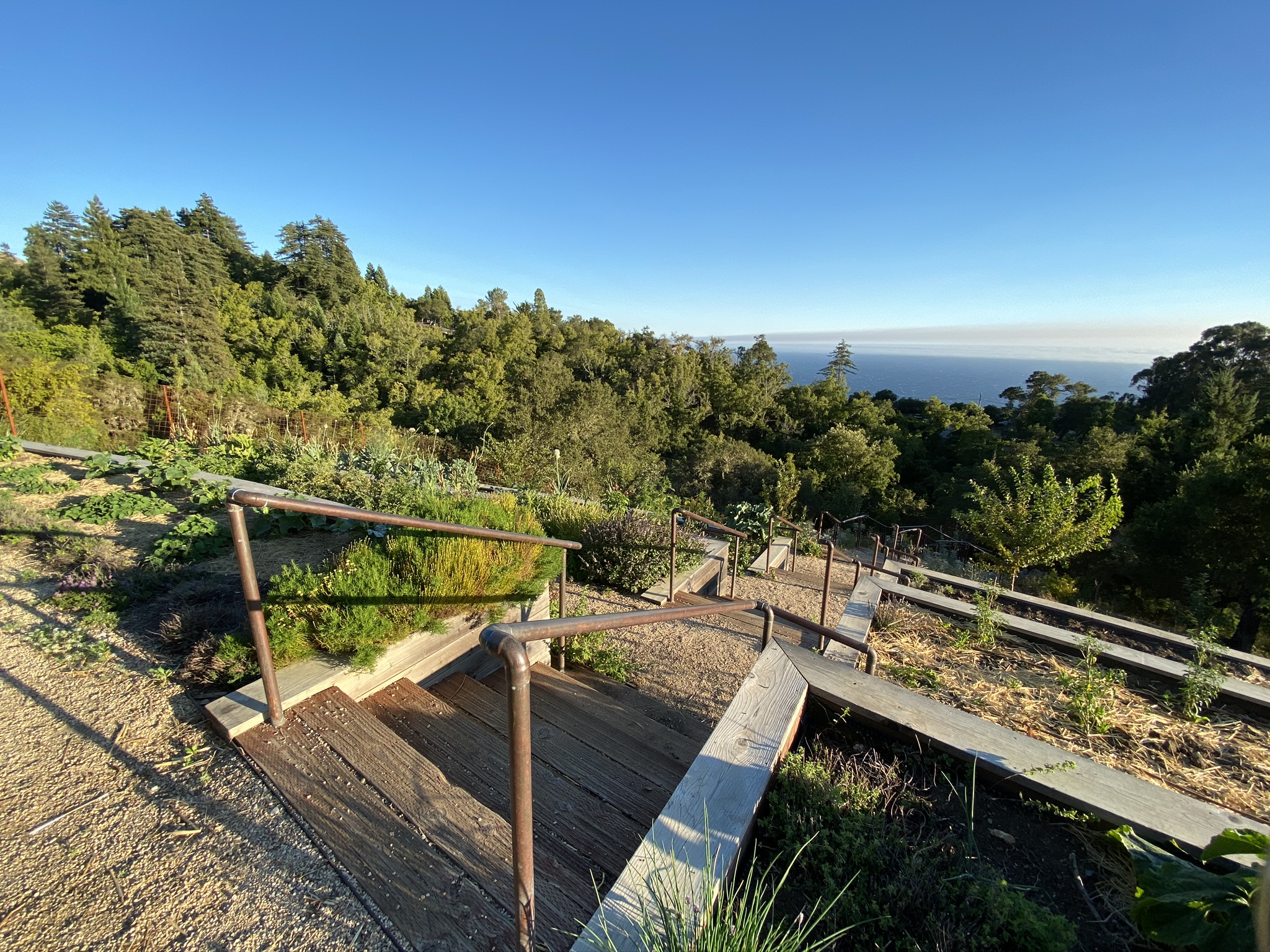 Ventana Big Sur an Alila Resort Organic Garden continued