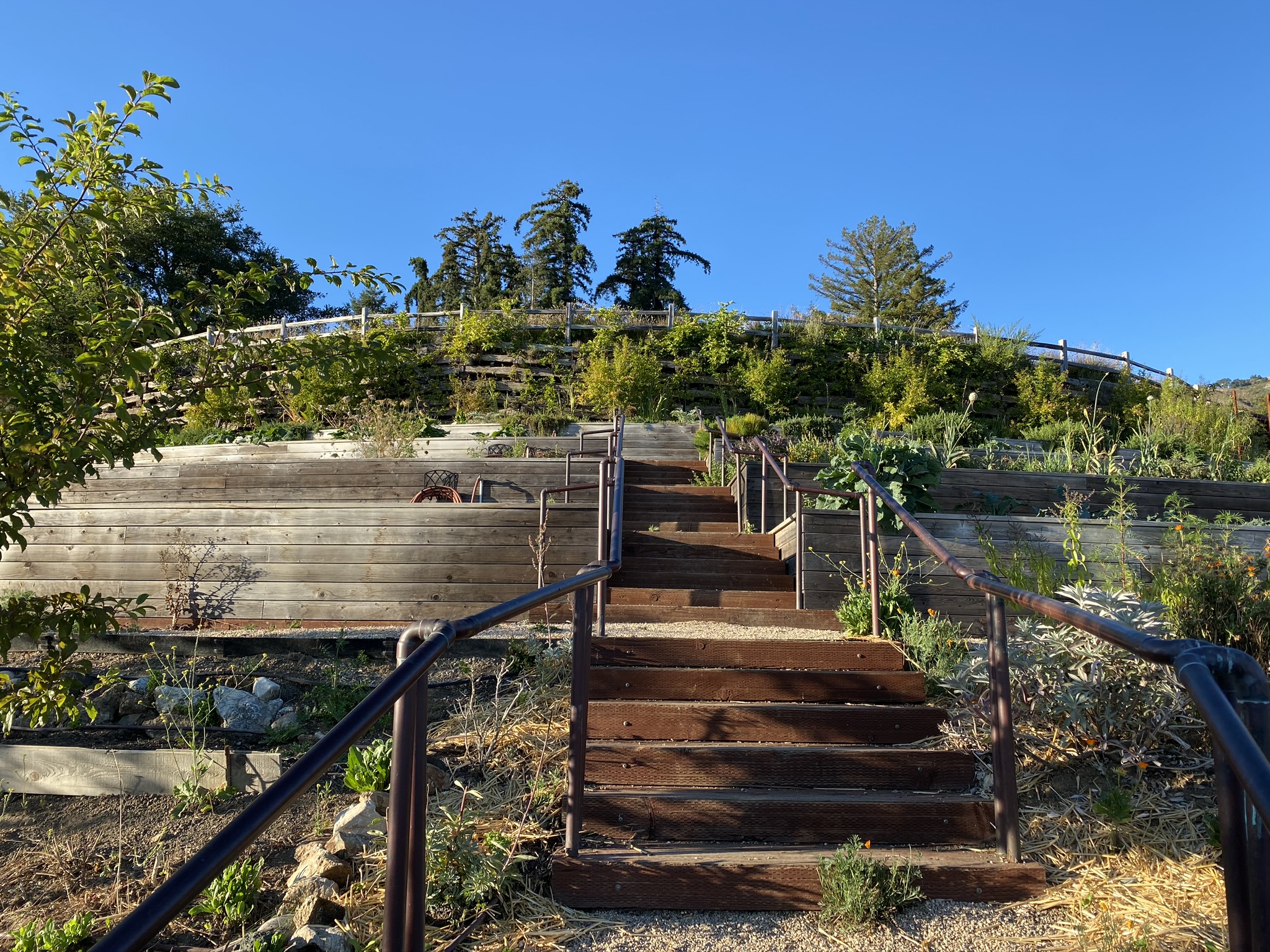Ventana Big Sur an Alila Resort Organic Garden