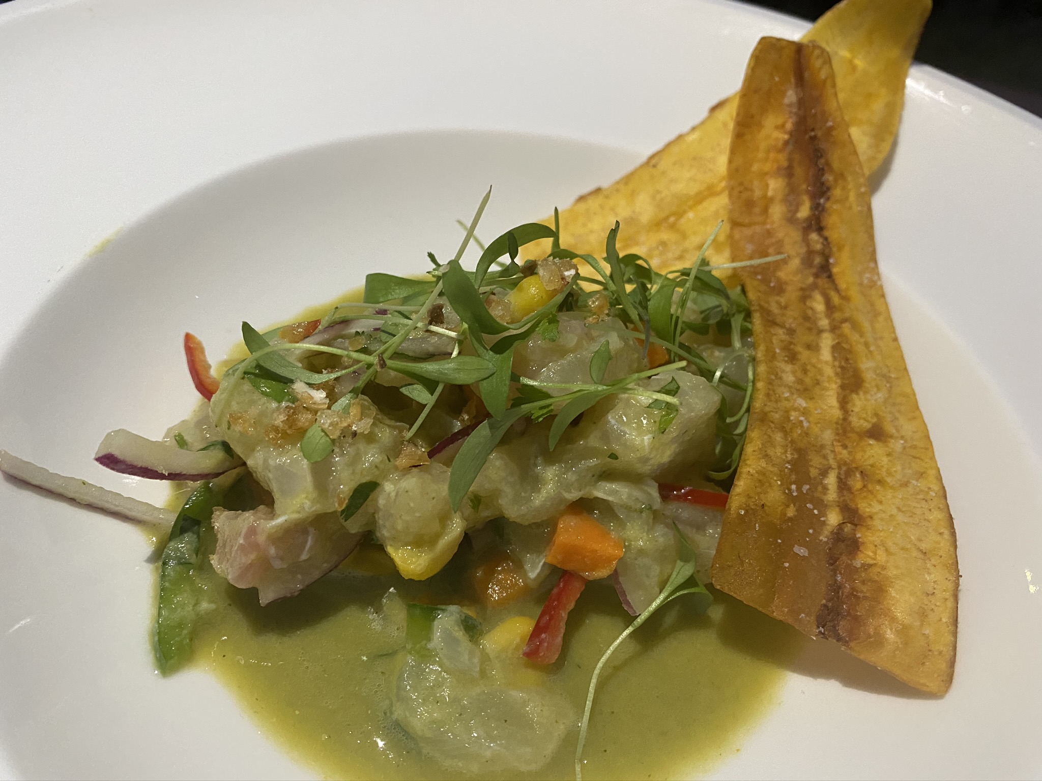 Ventana Big Sur an Alila Resort Sur House halibut ceviche 2