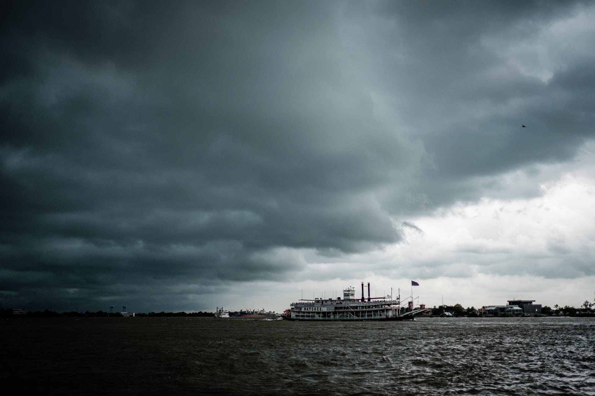 Mississippi River Cruise