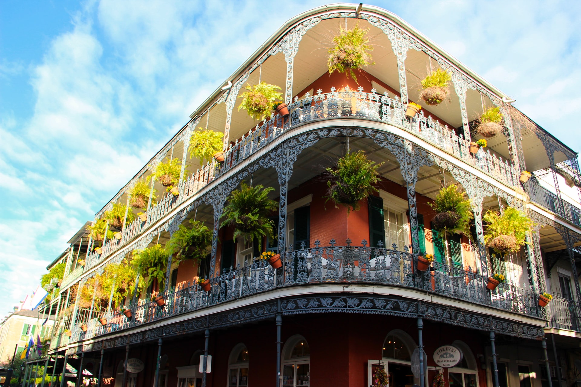 New Orleans Building New Orleans Building