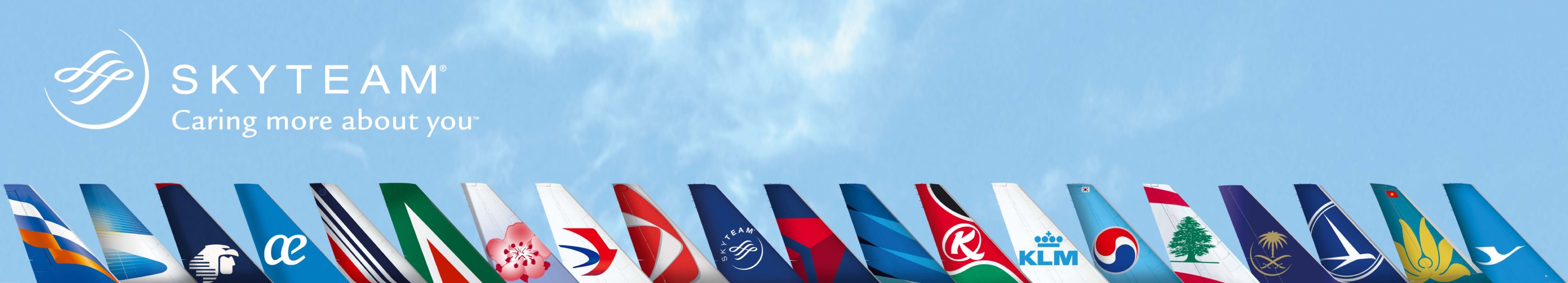 SkyTeam