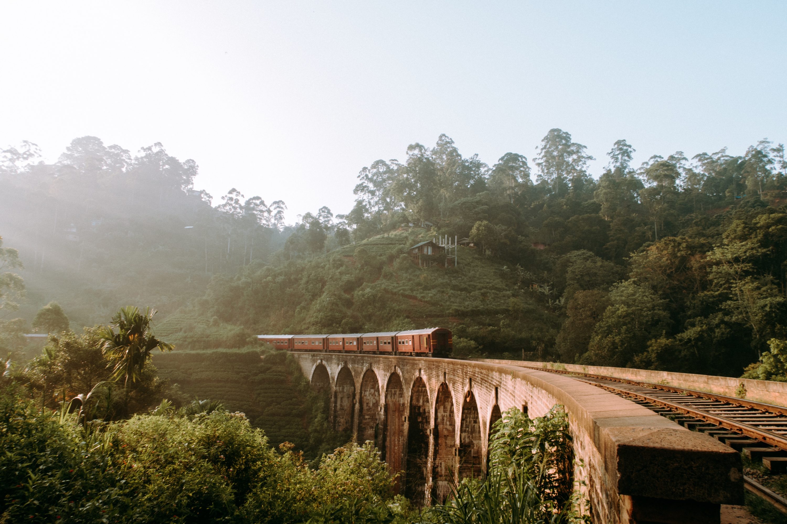Sri Lanka Train Jungle Sri Lanka Train Jungle