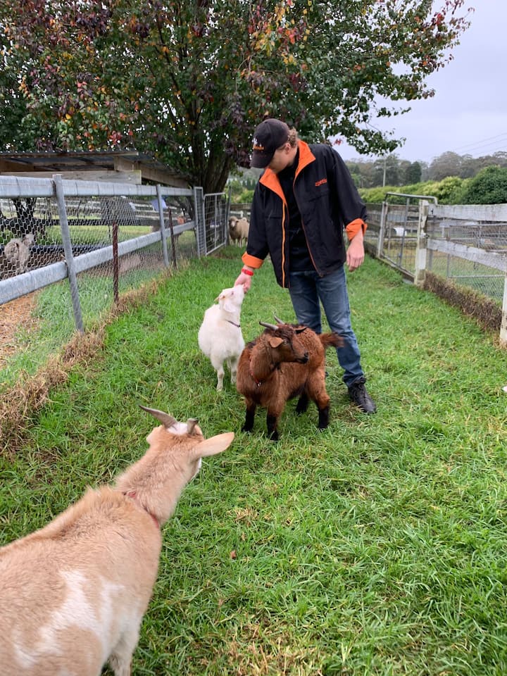 Australian Farm Airbnb Online Experience