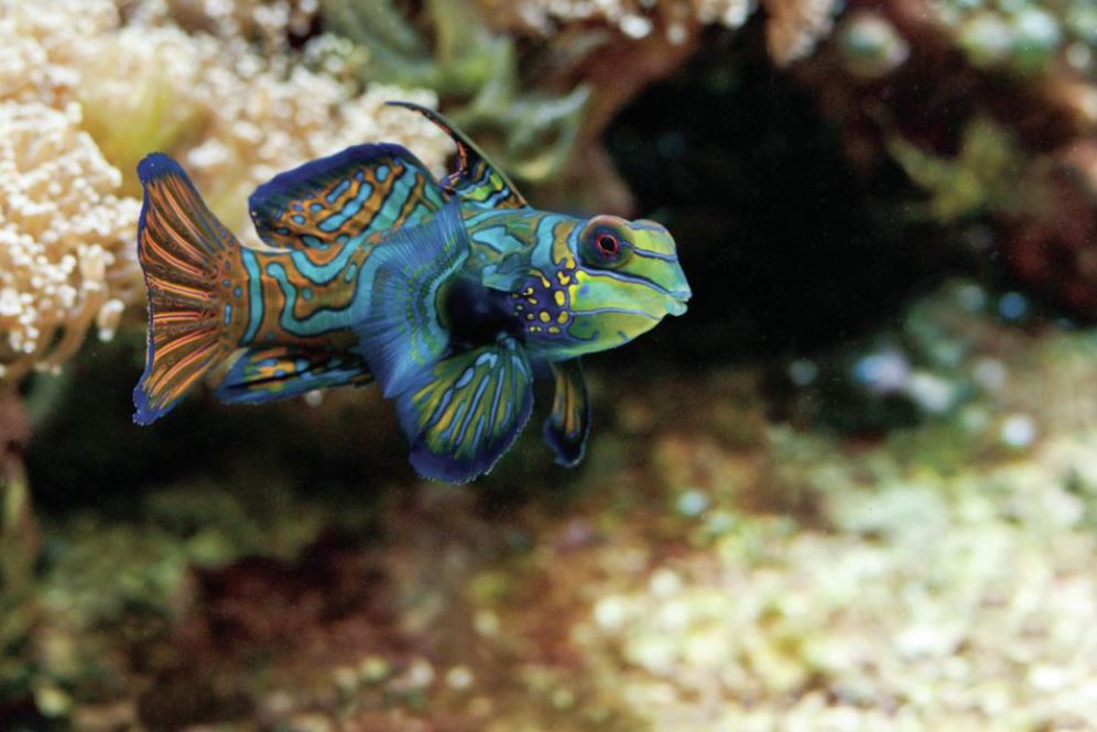 Boston Aquarium