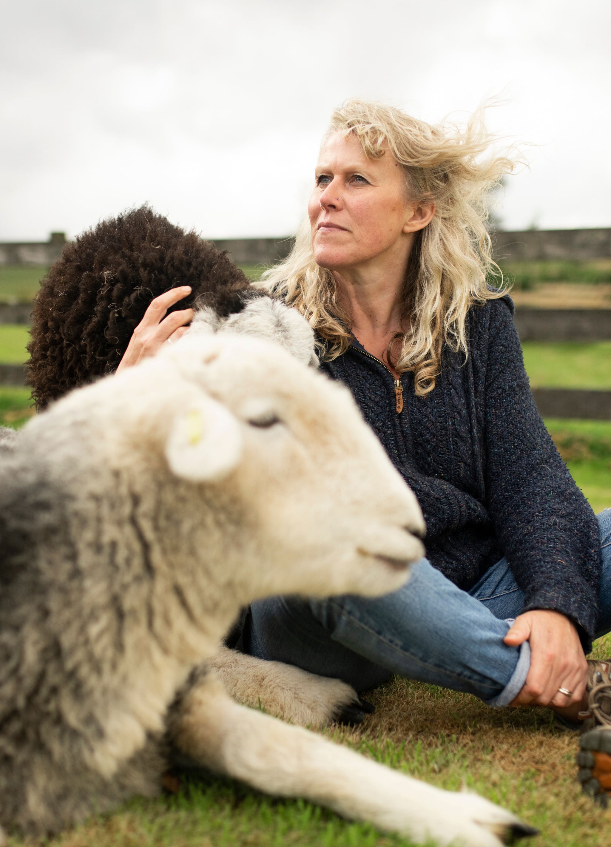 Guided Meditation with Sleepy Sheep airbnb online experience 1