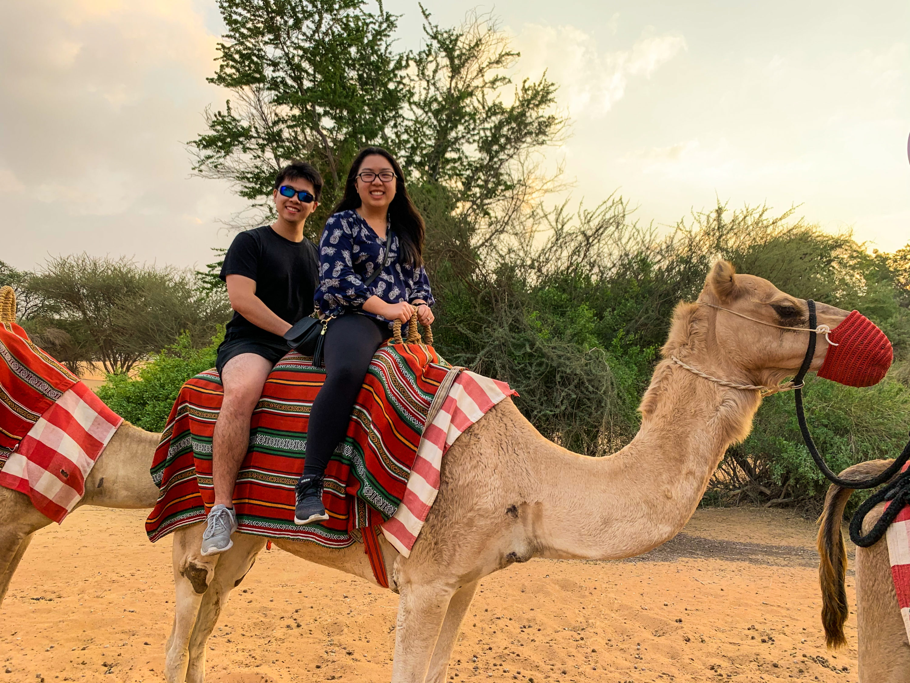 Al Maha camel ride Al Maha camel ride